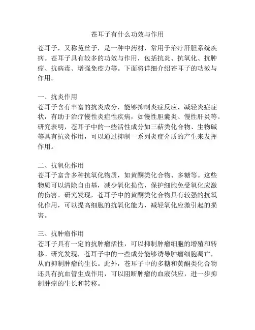 苍耳子有什么功效与作用