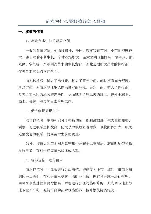 苗木为什么要移植该怎么移植