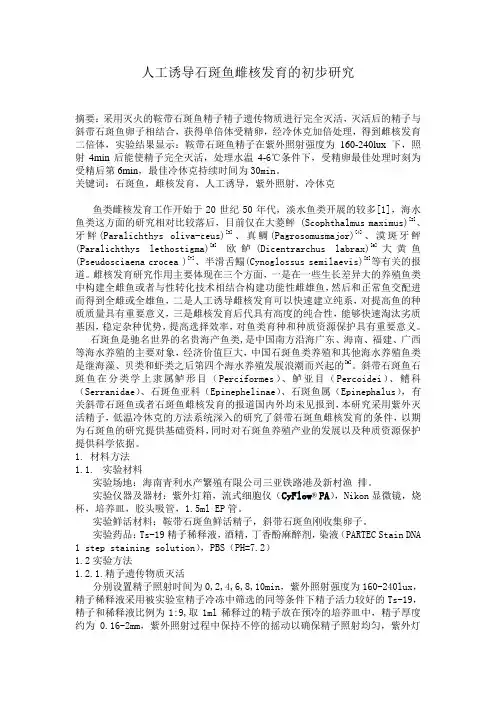 人工诱导斜带石斑鱼雌核发育的研究