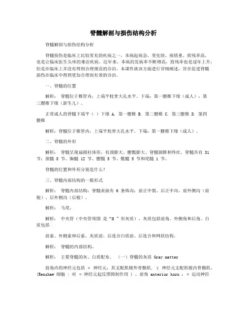 脊髓解剖与损伤结构分析