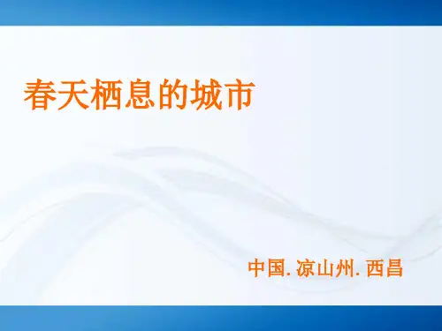 西昌ppt (全面实用型)