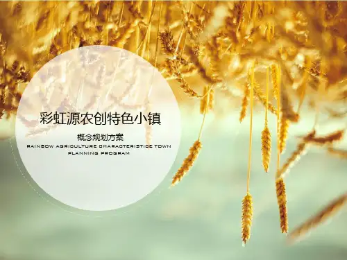 农创特色小镇概念规划方案ppt课件