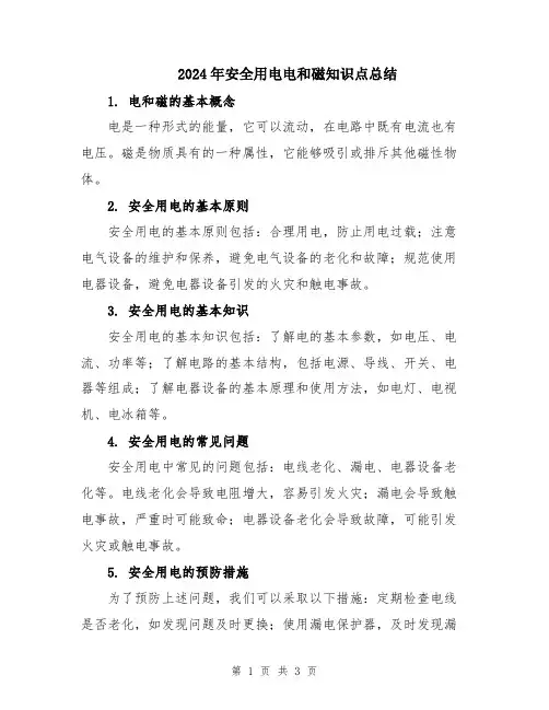 2024年安全用电电和磁知识点总结