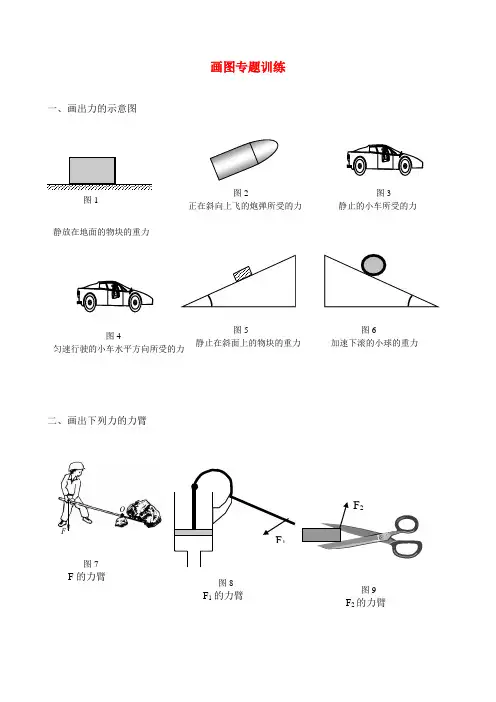中考物理 画图专题训练