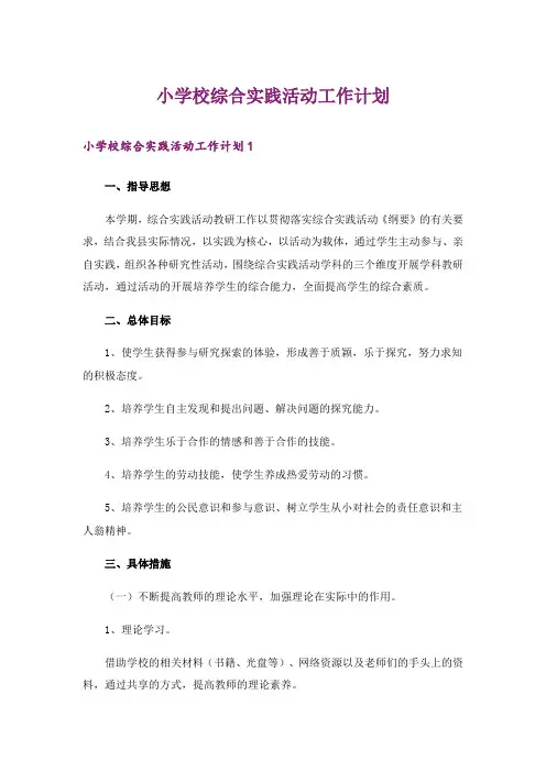 小学校综合实践活动工作计划