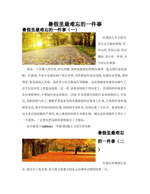 暑假里最难忘的一件事(共10篇)