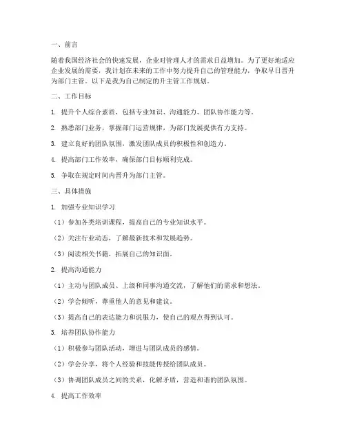 升主管的工作规划