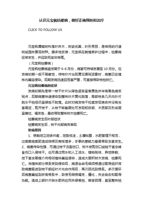 认识元宝枫枯萎病，做好正确预防和治疗