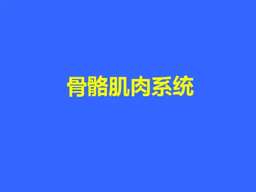 骨关节正常及基本病变-骨关节影像诊断学可修改文字
