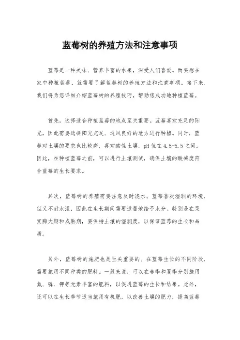 蓝莓树的养殖方法和注意事项