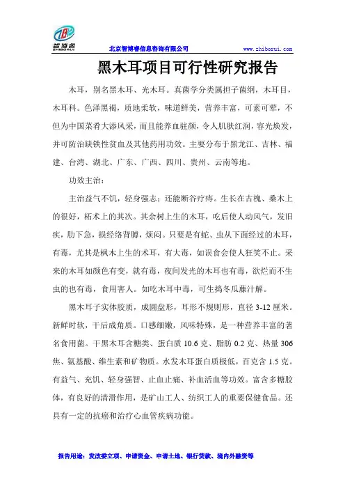 黑木耳项目可行性研究报告