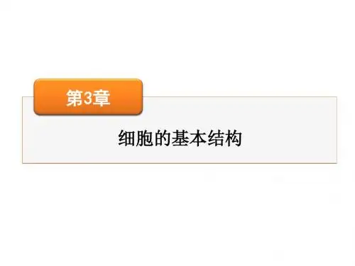 高考生物一轮总复习课件：必修1 第3章 第1、3节细胞膜——系统的边界、细胞核——系统的控制中心