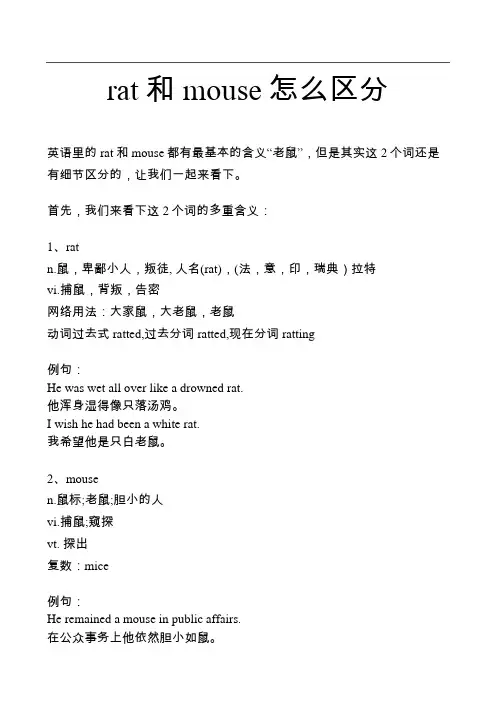 rat和mouse的区别是什么