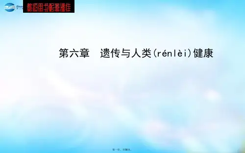 高中生物 第六章 遗传与人类健康课件 浙科版必修2