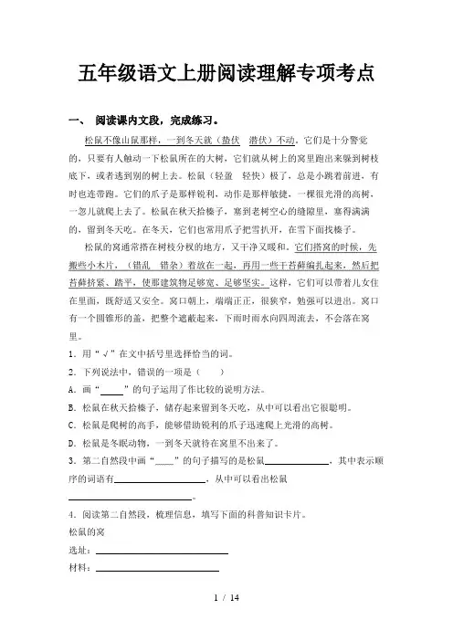 五年级语文上册阅读理解专项考点