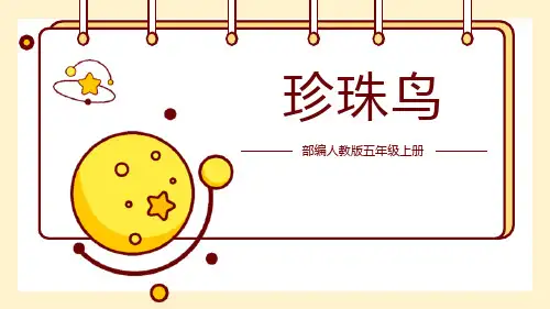 部编版五年级上册语文《珍珠鸟》PPT优质教学电子课件