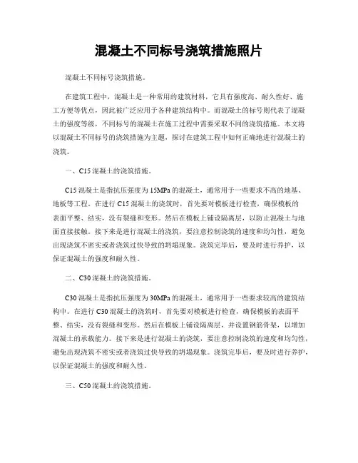 混凝土不同标号浇筑措施照片