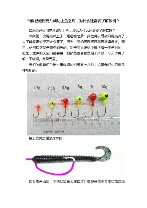 当你已经用亮片成功上鱼之后，为什么还需要了解软饵？