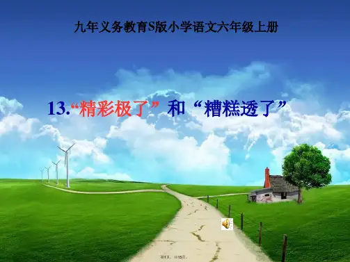 S版语文六年级上册13“精彩极了”和“糟糕透了”-课件