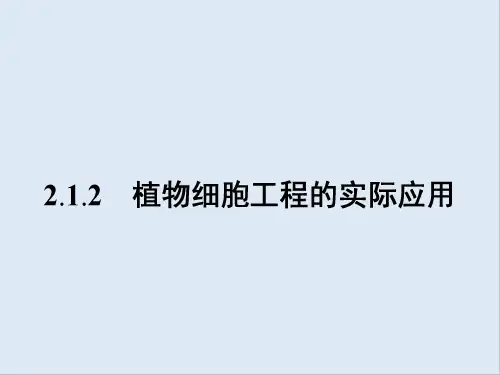 2019-2020学年生物高中人教版选修3课件：专题2 2.1 2.1.2 植物细胞工程的实际应用 