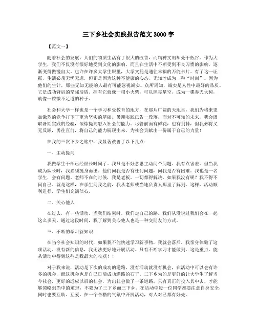 三下乡社会实践报告范文3000字