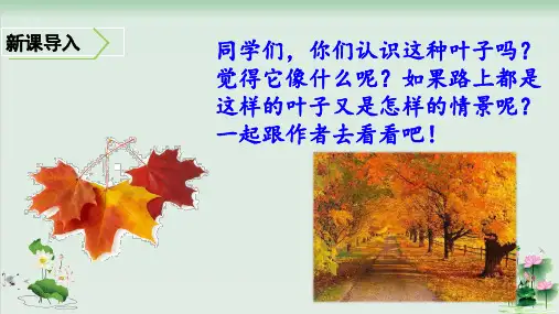 (部编版)小学语文三级上册《铺满金色巴掌的水泥道》PPT公开课课件