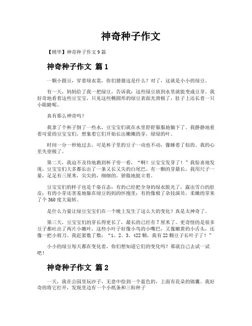 神奇种子作文