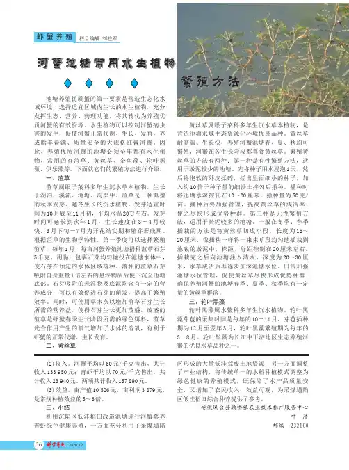 河蟹池塘常用水生植物繁殖方法