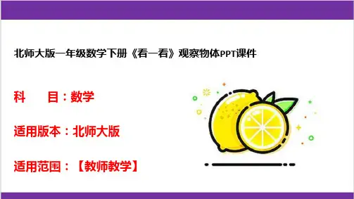 北师大版一年级数学下册《看一看》观察物体PPT课件