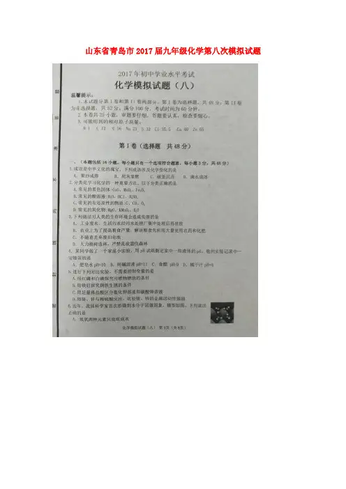 山东省青岛市2017届九年级化学第八次模拟试题(扫描版)