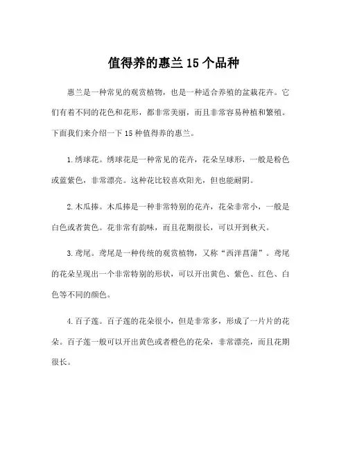 值得养的惠兰15个品种