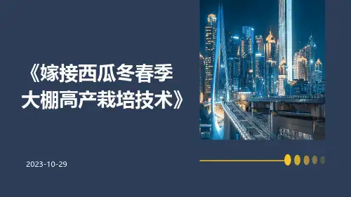 嫁接西瓜冬春季大棚高产栽培技术