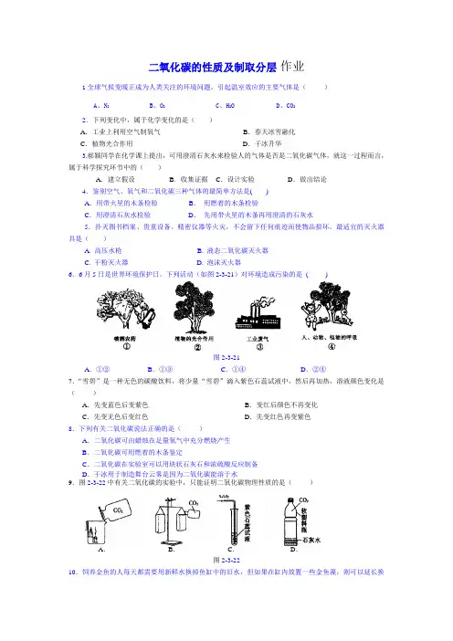 二氧化碳的性质及制取_练习