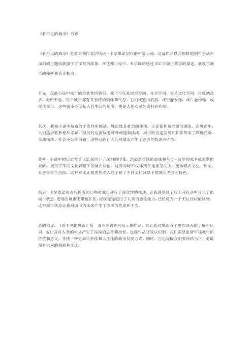 《看不见的城市》读后感