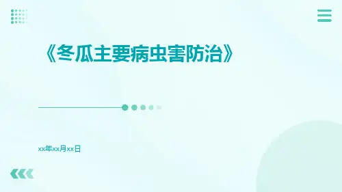 冬瓜主要病虫害防治