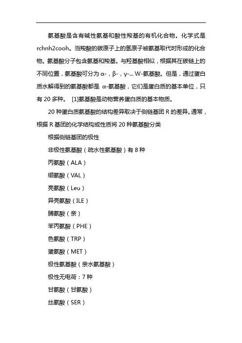 氨基酸分类