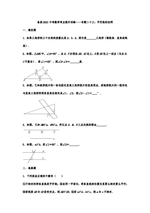中考九年级数学考点提升训练——专题二十三：平行线的证明