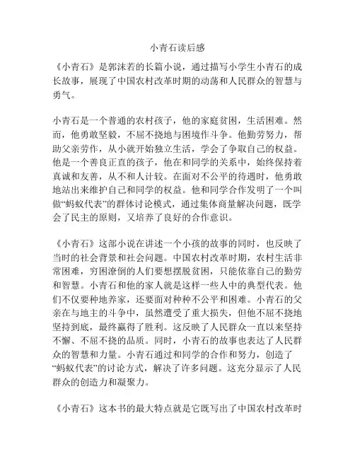 小青石读后感