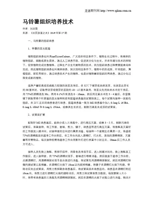 马铃薯组织培养技术