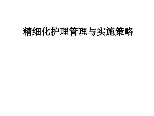 精细化护理管理与实施策略ppt课件