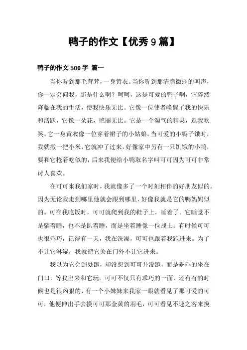 鸭子的作文【优秀9篇】