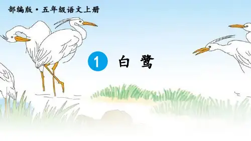部编版五年级上册语文《白鹭》PPT优秀课件
