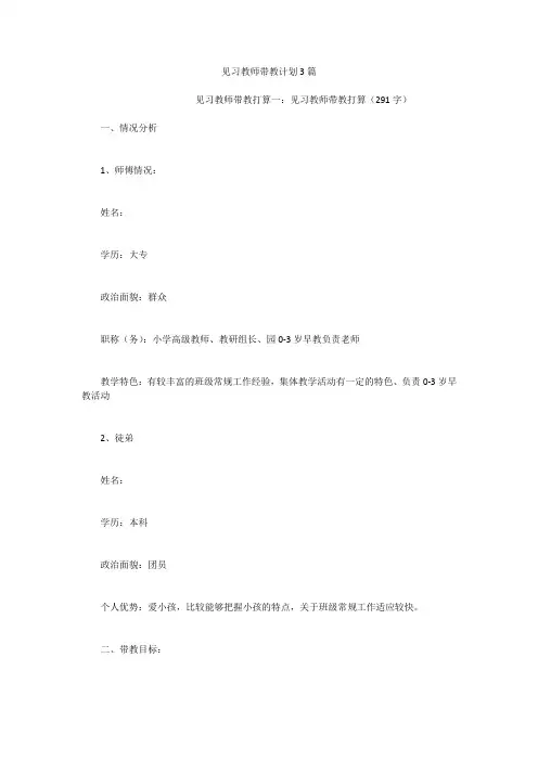 见习教师带教计划3篇