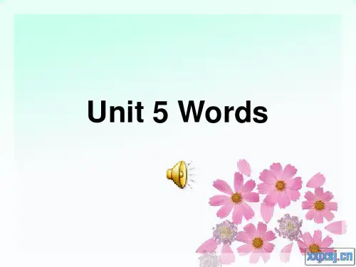 人教版英语必修一Unit5词汇