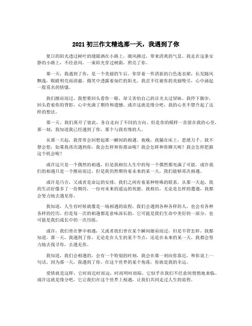 2021初三作文精选那一天,我遇到了你