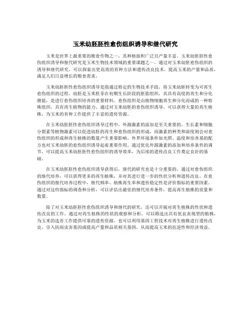 玉米幼胚胚性愈伤组织诱导和继代研究