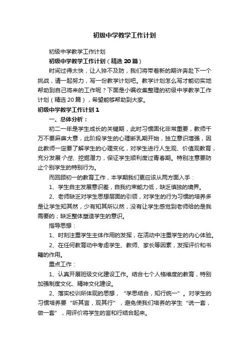初级中学教学工作计划（精选20篇）