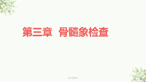 血液学检验骨髓象检查ppt课件