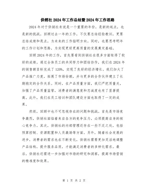 供销社2024年工作总结暨2024年工作思路
