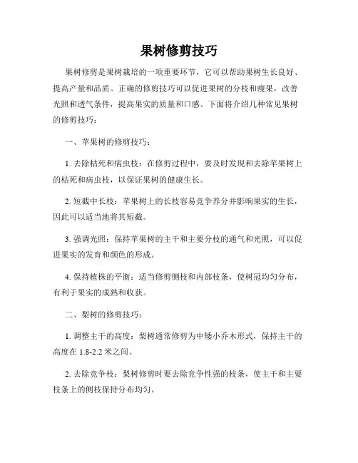果树修剪技巧